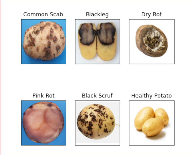Classification of Potato Disease with Digital Image Processing Technique: A Hybrid Deep Learning Framework